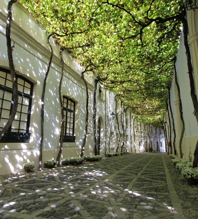Calle Ciegos Bodegas Tío Pepe