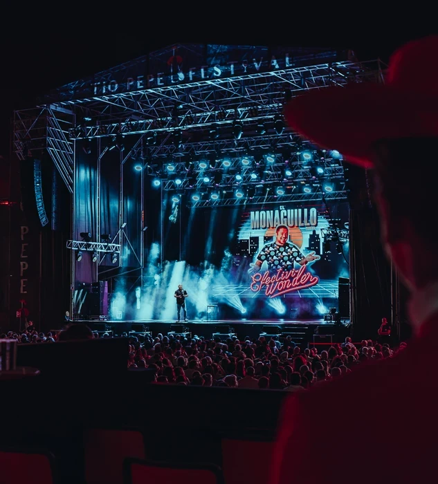 el monaguillo